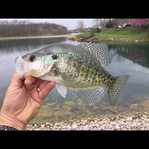 Meet your Posher, Todd